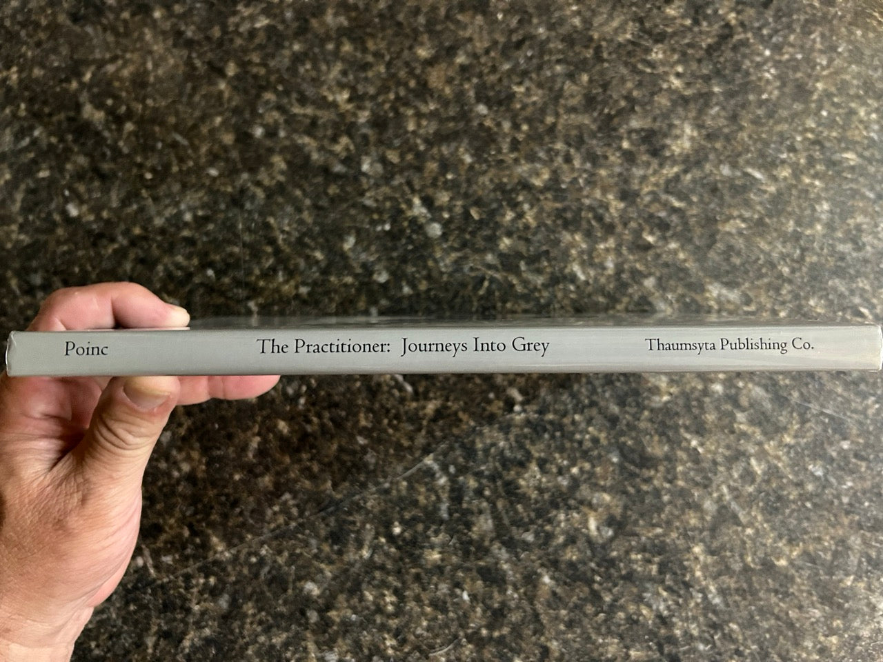 The Practitioner: Journeys Into Grey - Eugene Poinc