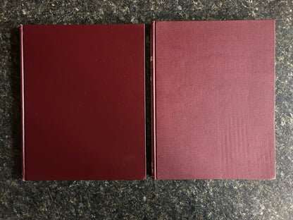 The Phoenix 2 Book Set (#1-100) - Walter Gibson