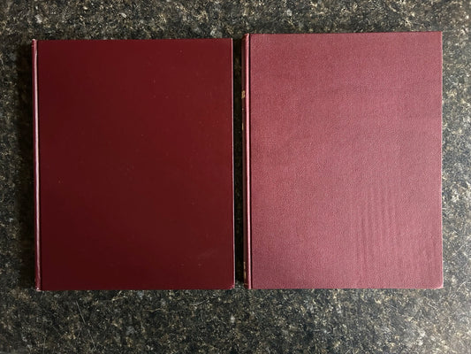 The Phoenix 2 Book Set (#1-100) - Walter Gibson