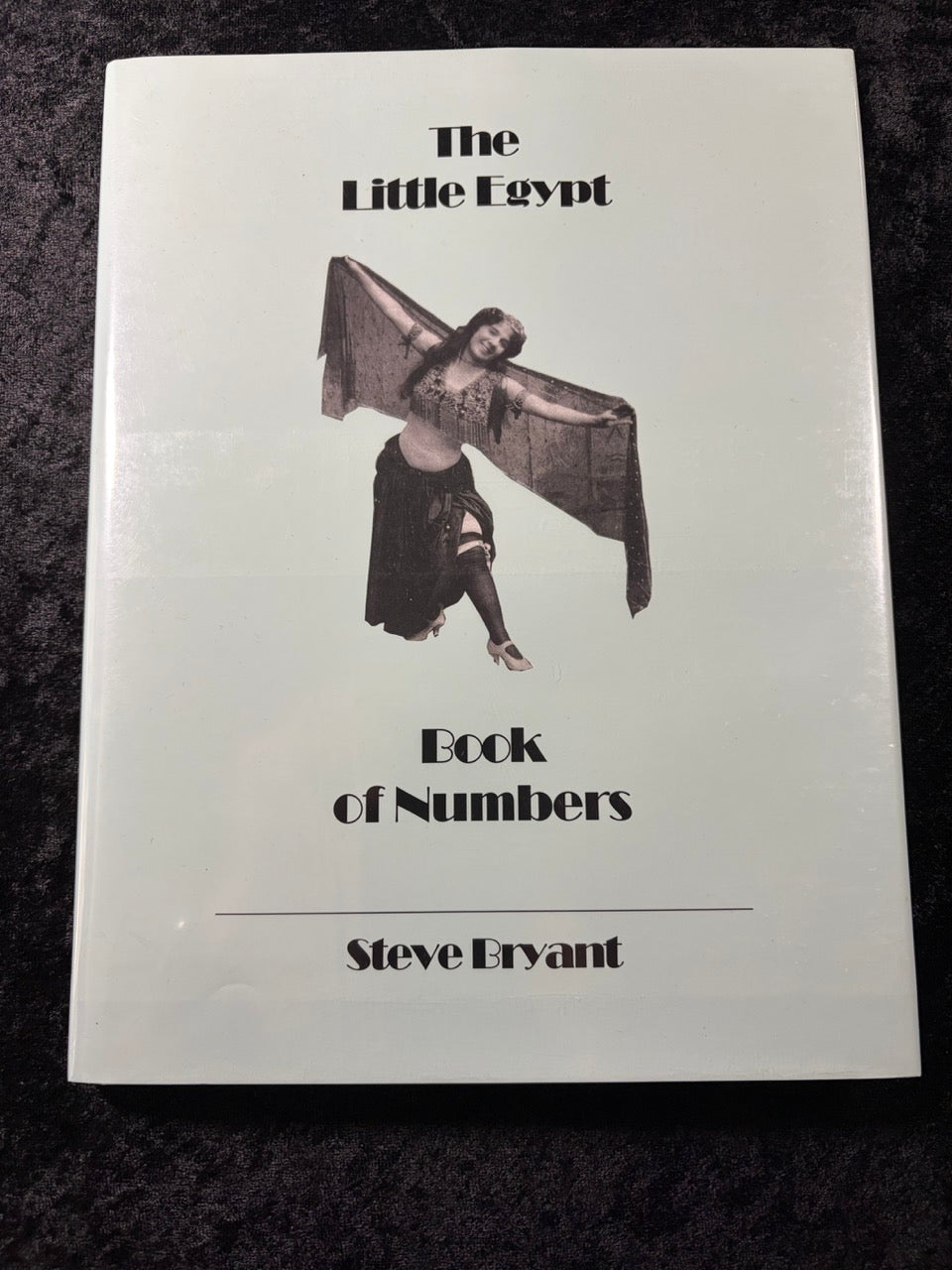 The Little Egypt Book of Numbers - Steve Bryant