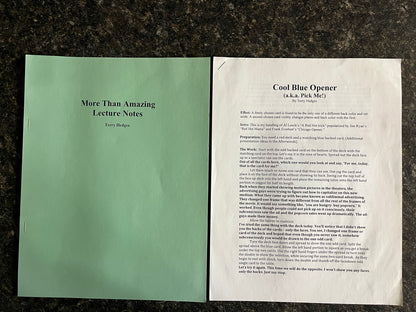 More Than Amazing Lecture Notes - Terry Hedges