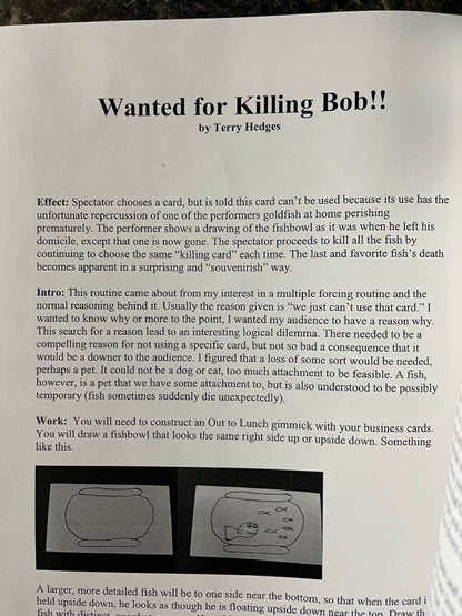 More Than Amazing Lecture Notes - Terry Hedges