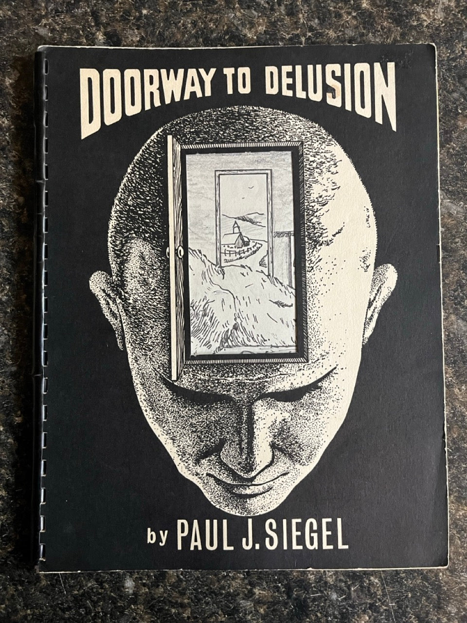 Doorway to Delusion - Paul J. Siegel