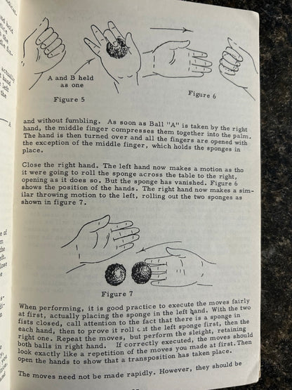The Sponge Book - Frances Marshall