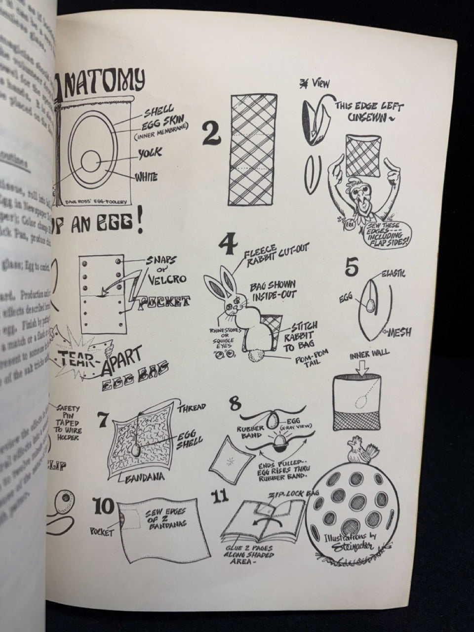 Dave Ross' Egg-Foolery