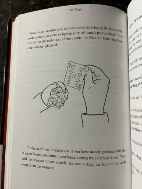 Not A Dianoetic Rage - Thomas Baxter (LIKE NEW)