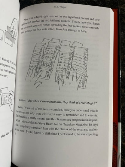 Not A Dianoetic Rage - Thomas Baxter (LIKE NEW)