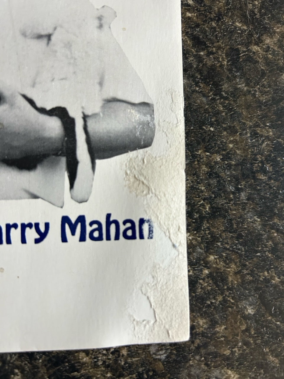Spring Animals: Your Friends For Life - Larry Mahan