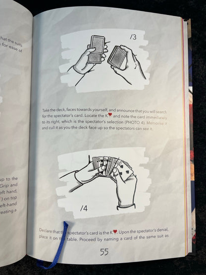 Never Mind The Bollocks, Here's Etienne Pradier (book)