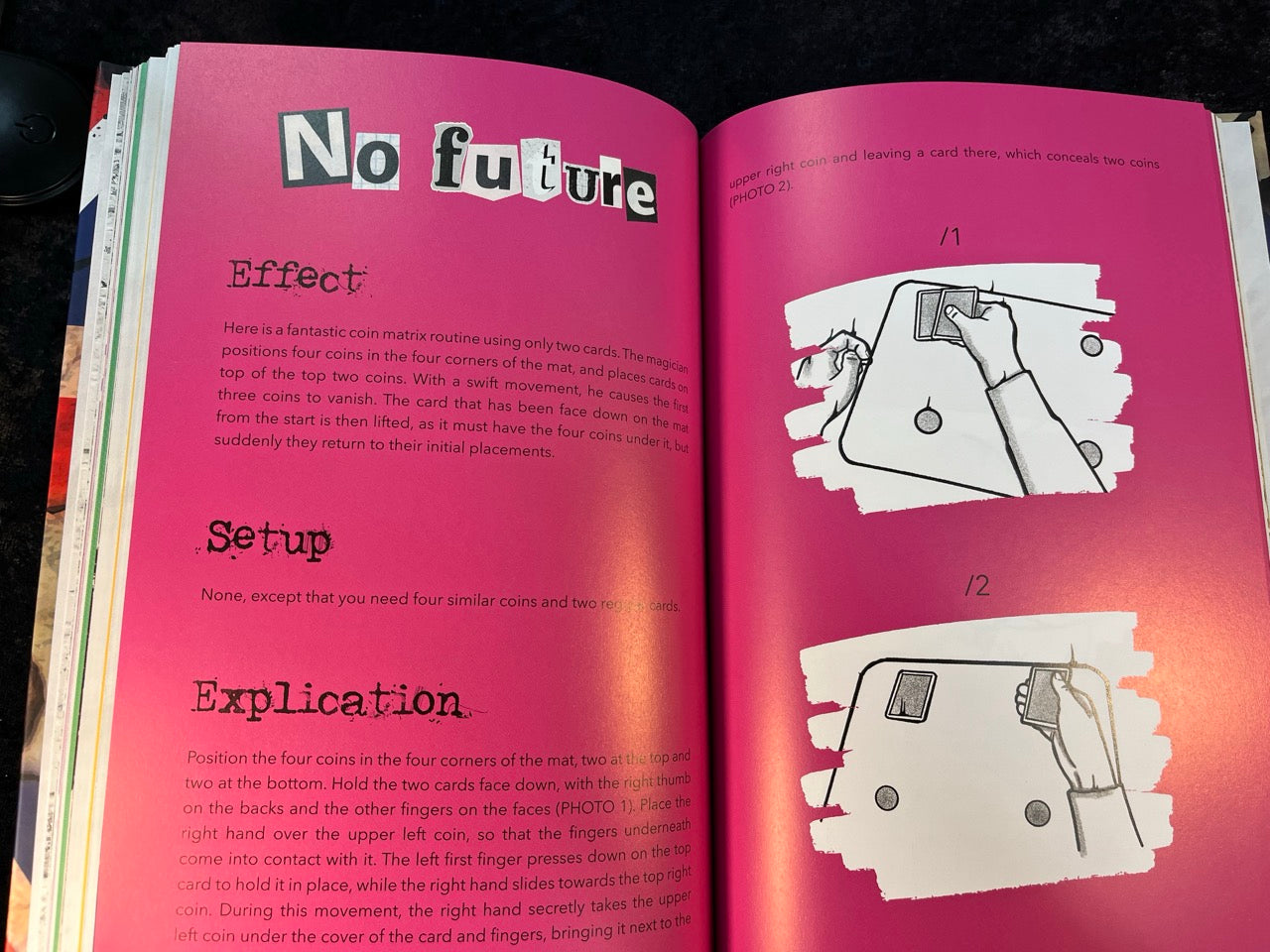 Never Mind The Bollocks, Here's Etienne Pradier (book)