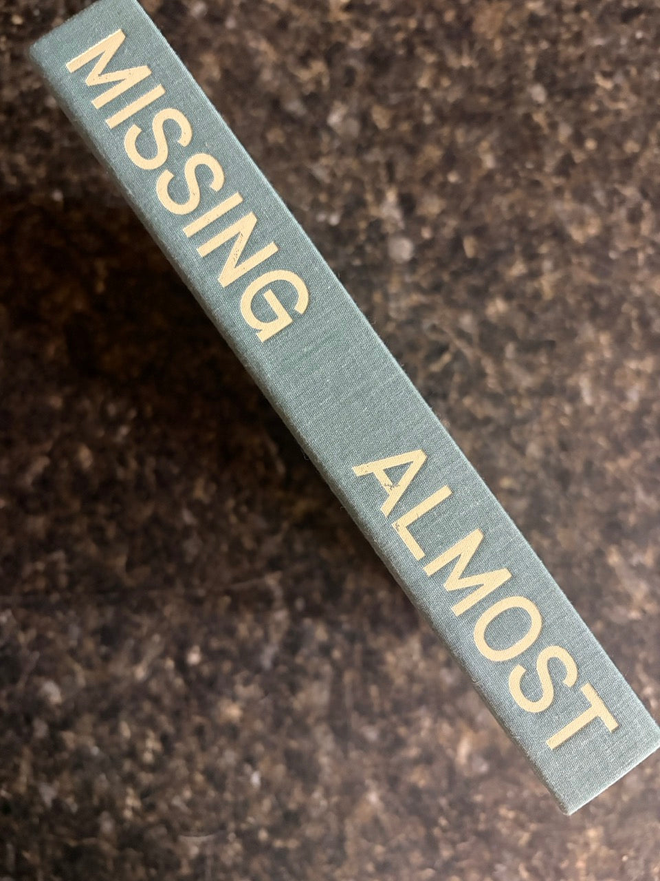 Missing Almost Every Thing  - Alex Hansford