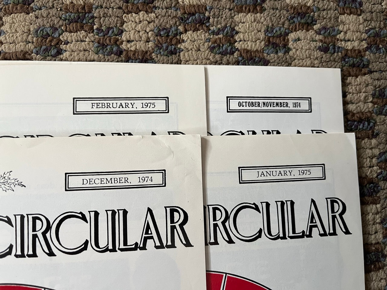 The Magic Circular (4 issues) - Magic Circle