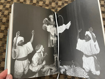 MAGIC: 1400s-1950s (MEDIUM sized version) - Noel Daniel (Taschen Books)