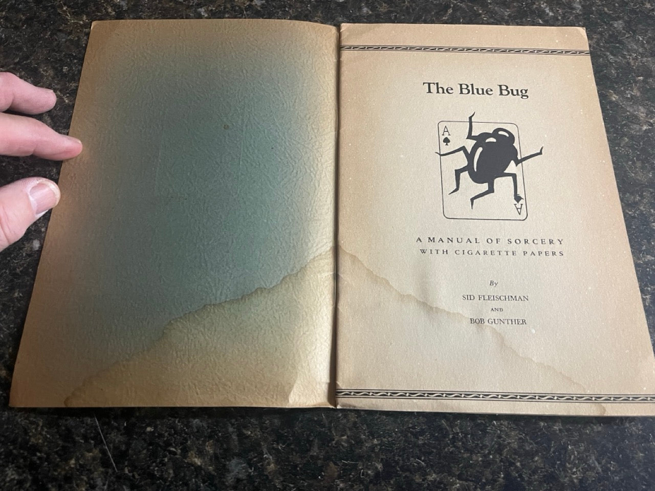 The Blue Bug - Sid Fleishman and Bob Gunther