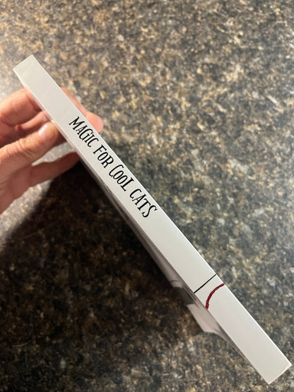 Magic For Cool Cats - Jonathan Friedman