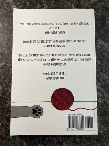 Magic For Cool Cats - Jonathan Friedman