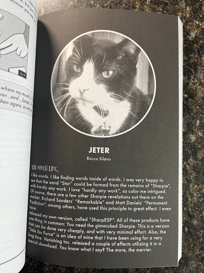 Magic For Cool Cats - Jonathan Friedman