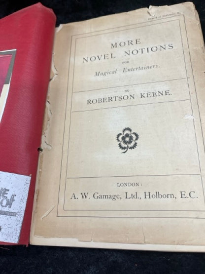 More Novel Notions - Robertson Keene