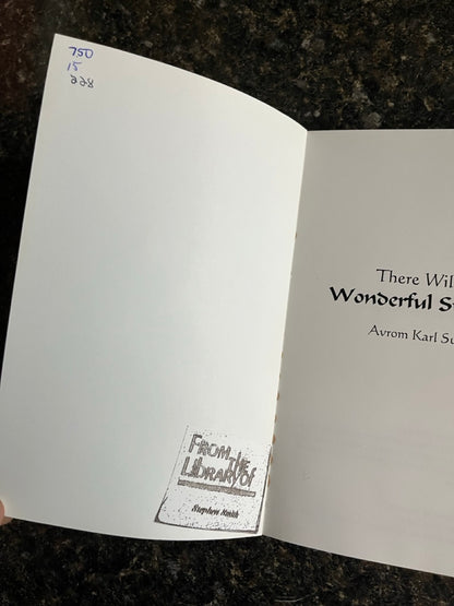 There Will Be Wonderful Surprises - Avrom Karl Surath