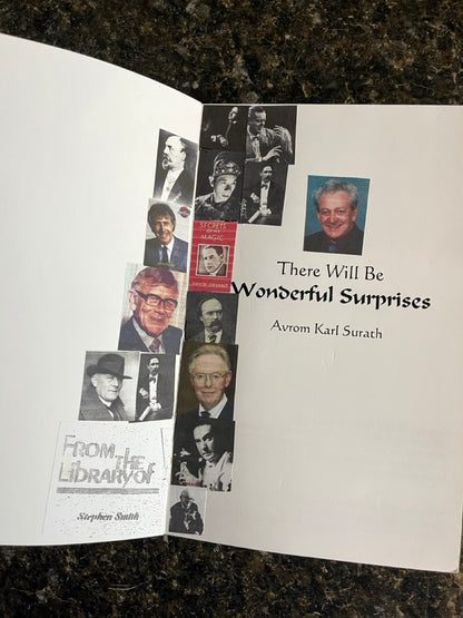 There Will Be Wonderful Surprises - Avrom Karl Surath