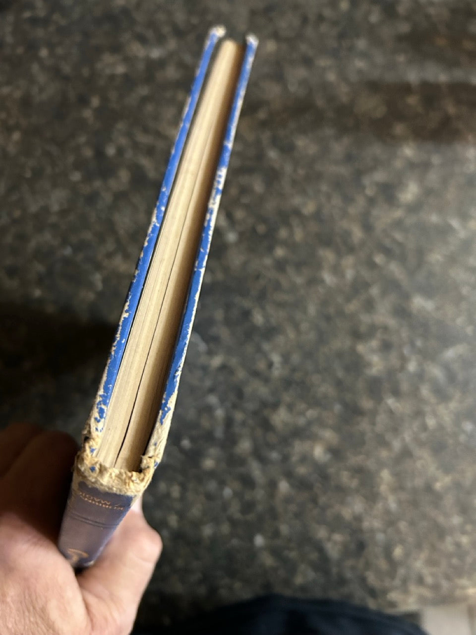 Stars of Magic - D. Robbins edition