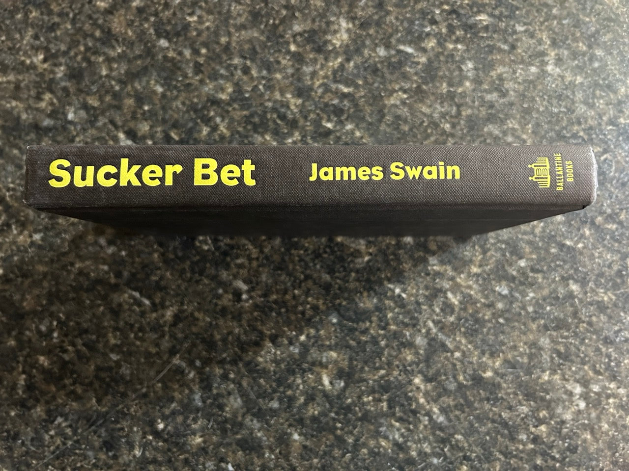 Sucker Bet - James Swain
