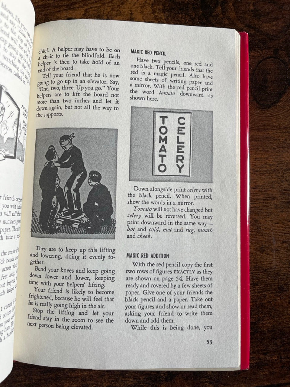 A Beginner's Book of Magic - Francis J. Rigney