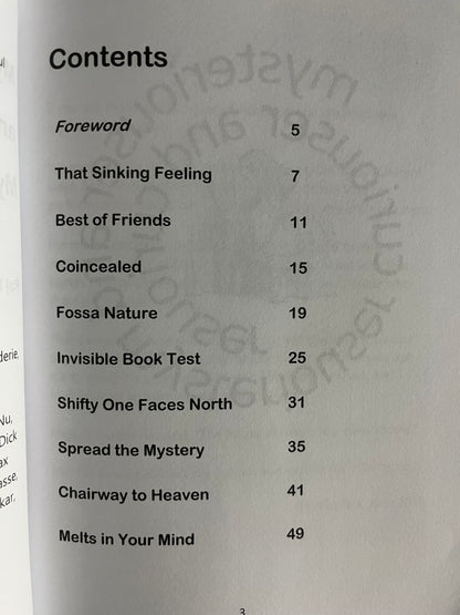 Mysteriouser And Mysteriouser - Raj Madhok