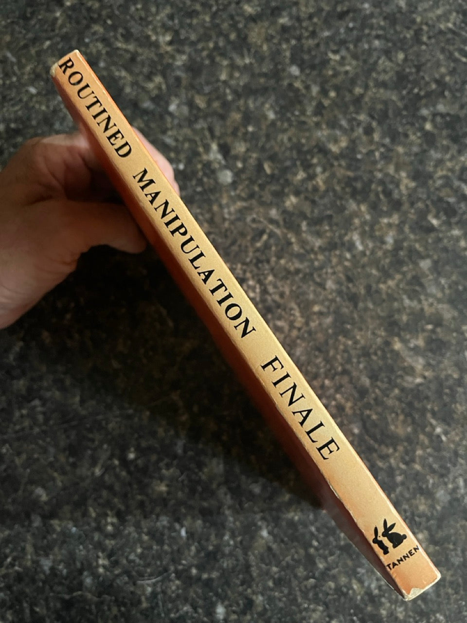 Routined Manipulation Finale - Lewis Ganson (softcover)