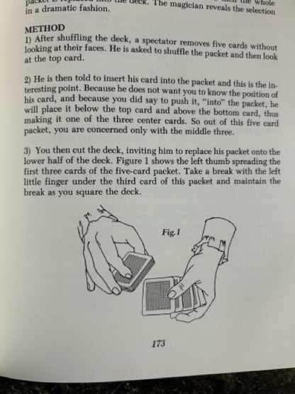 The Cervon File - Bruce Cervon