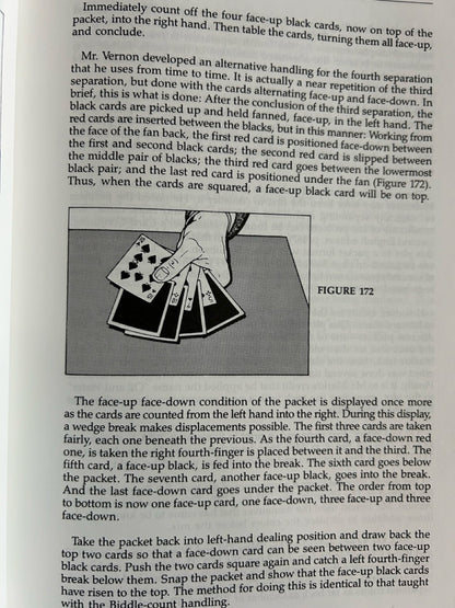 The Vernon Chronicles (Vols. 1-4) - Stephen Minch