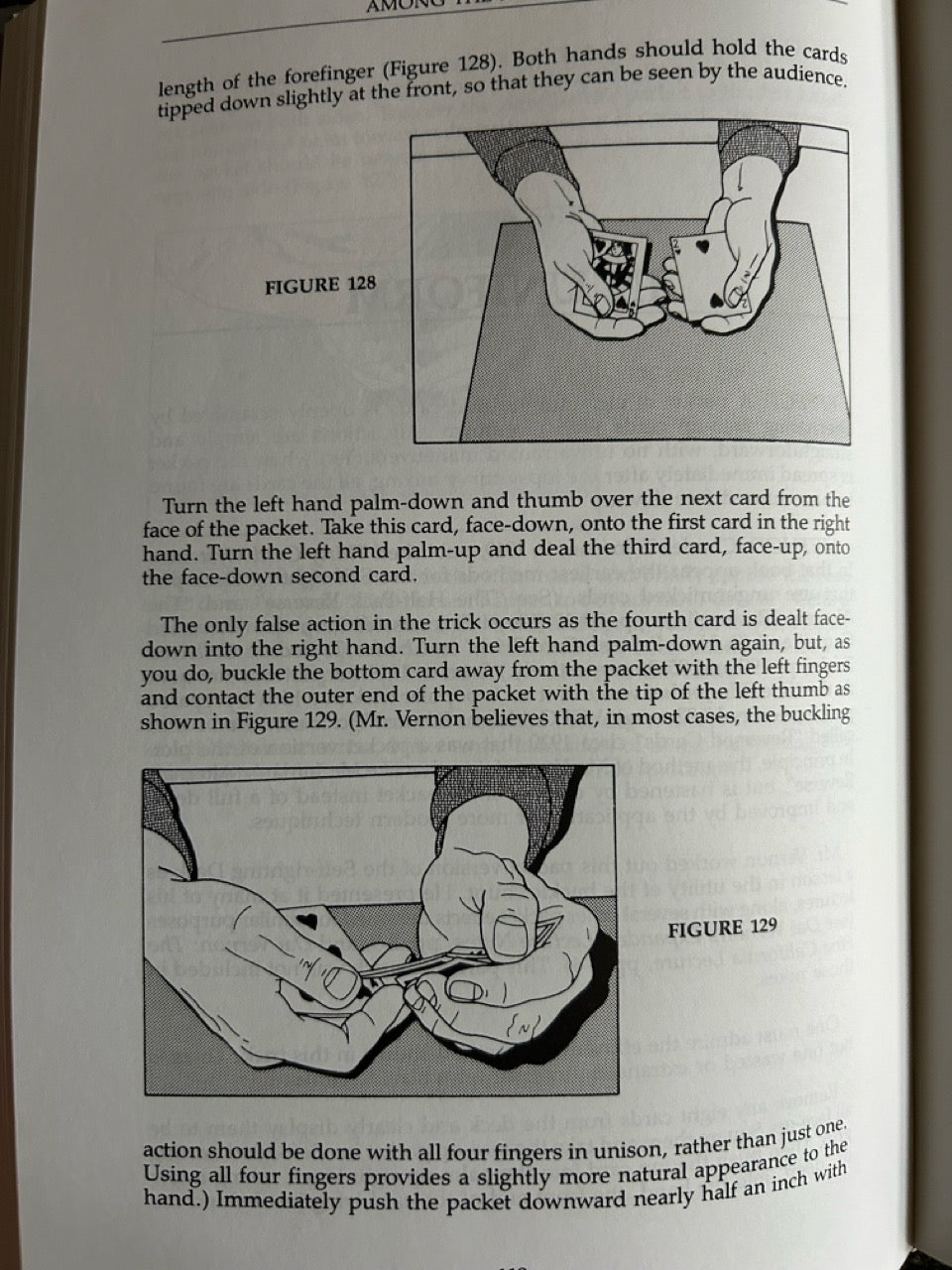 The Vernon Chronicles (Vols. 1-4) - Stephen Minch