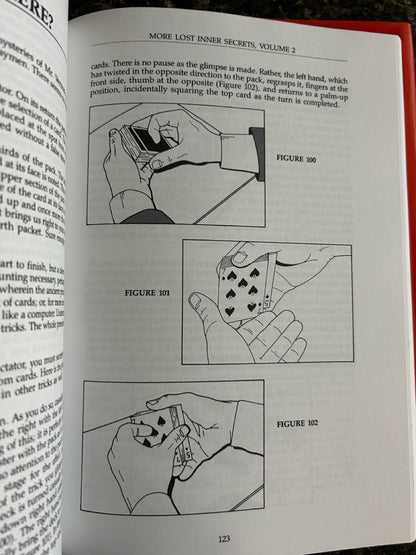 The Vernon Chronicles (Vols. 1-4) - Stephen Minch