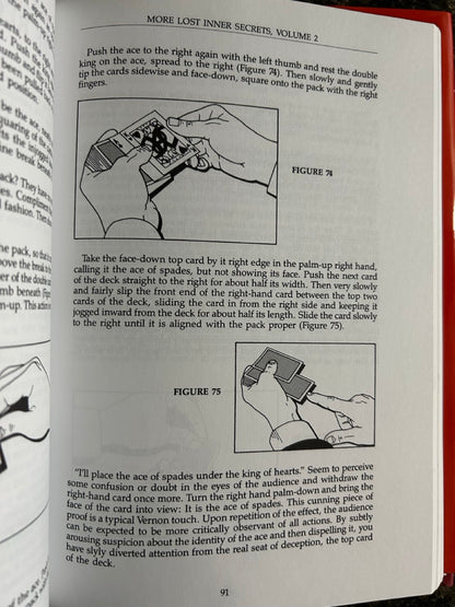 The Vernon Chronicles (Vols. 1-4) - Stephen Minch