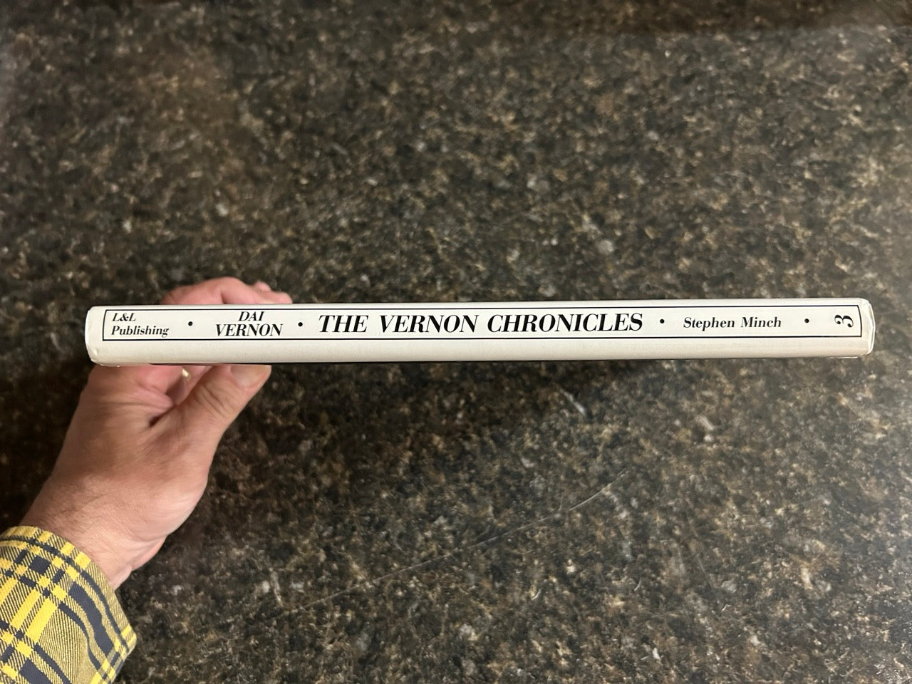 The Vernon Chronicles (Vols. 1-4) - Stephen Minch