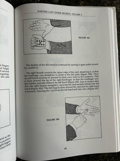 The Vernon Chronicles (Vols. 1-4) - Stephen Minch