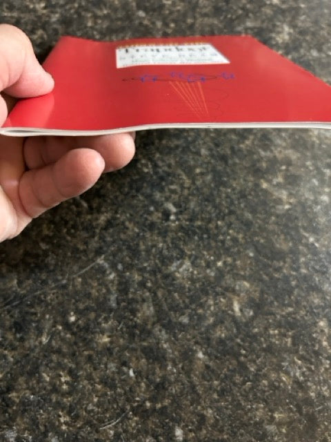 Through The Trapdoor - Steve Beam