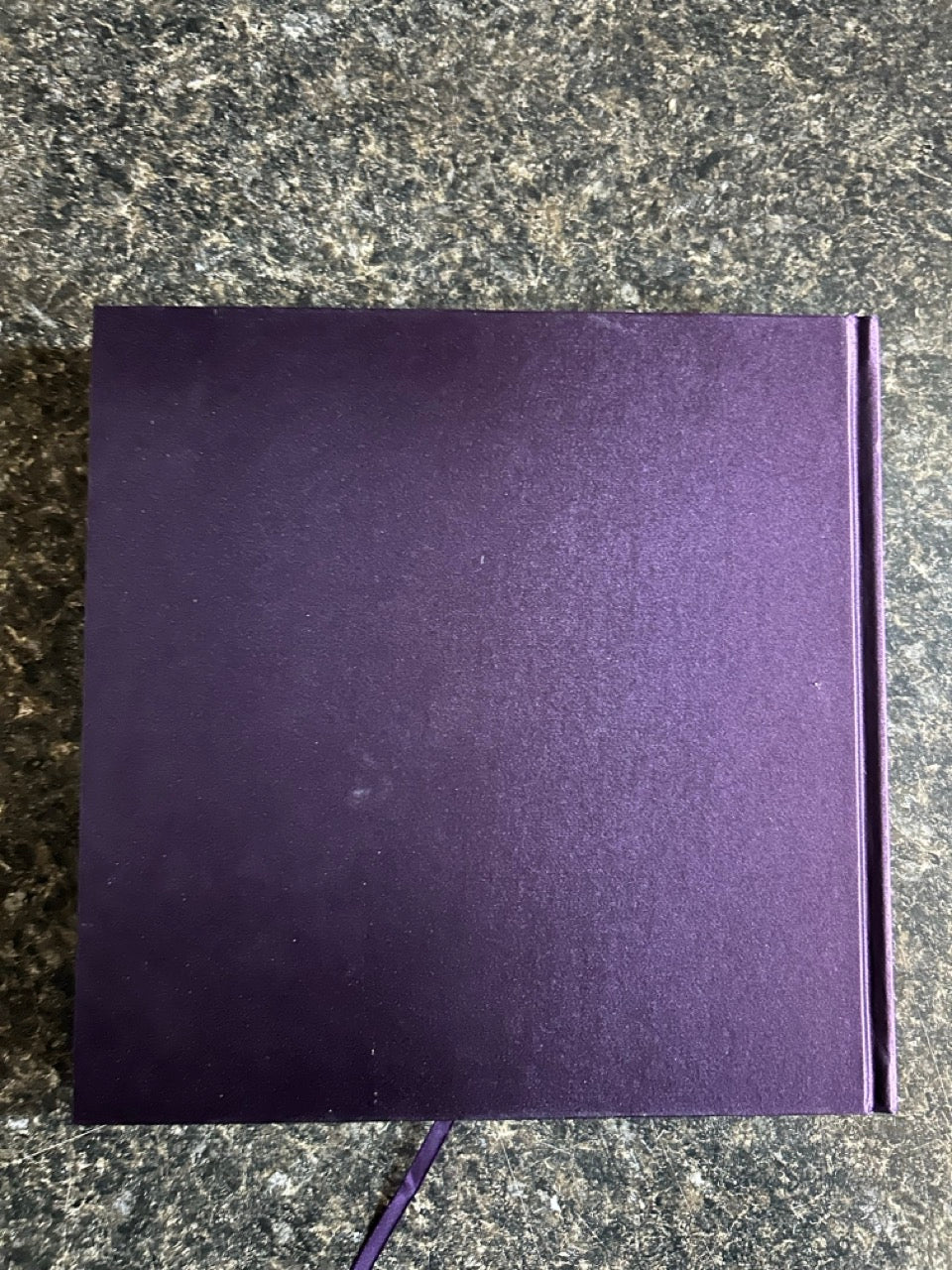 Pure Imagination - Scott Robinson