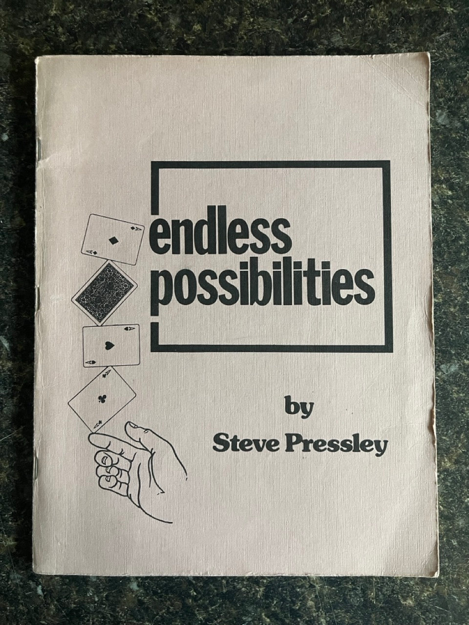 Endless Possibilities - Steve Pressley