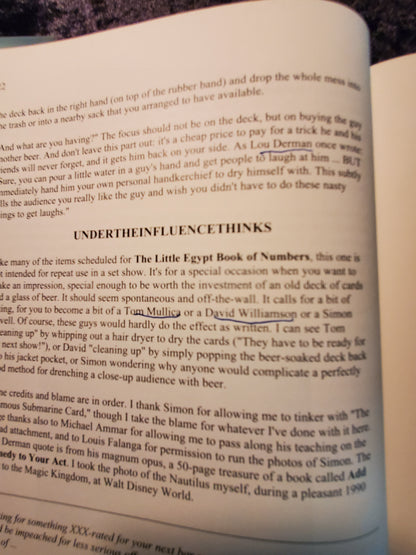 The Little Egypt Book of Numbers - Steve Bryant