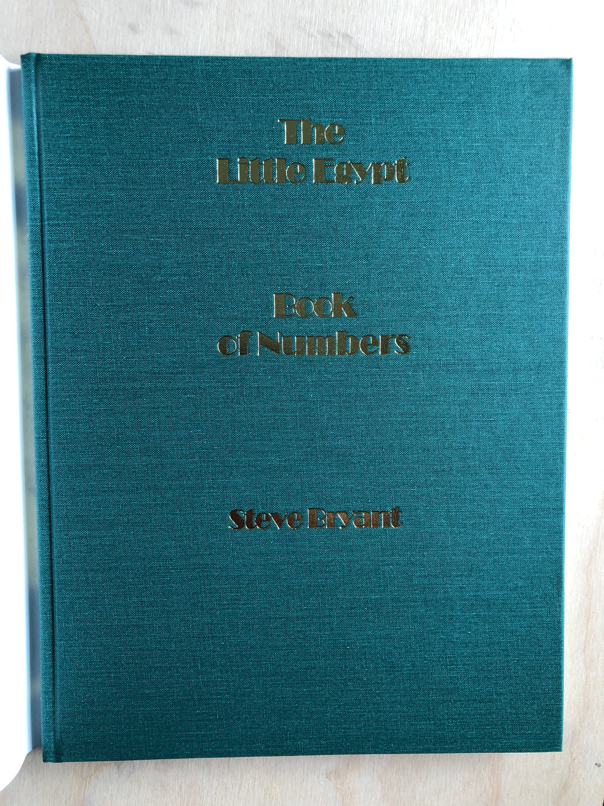 The Little Egypt Book of Numbers - Steve Bryant