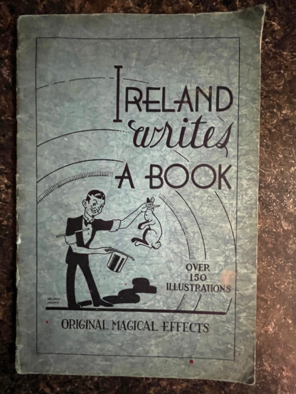 Ireland Writes A Book